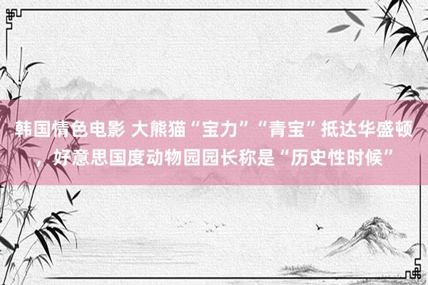 韩国情色电影 大熊猫“宝力”“青宝”抵达华盛顿，好意思国度动物园园长称是“历史性时候”
