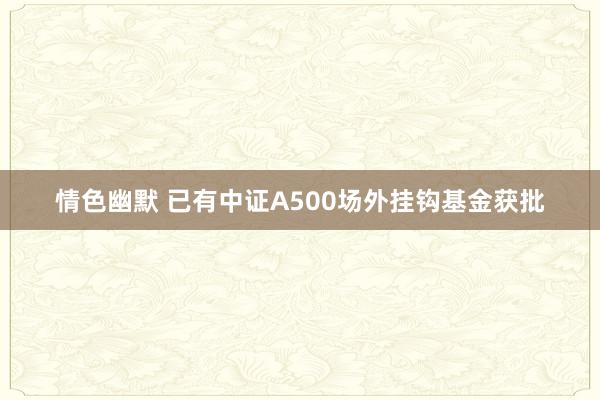 情色幽默 已有中证A500场外挂钩基金获批