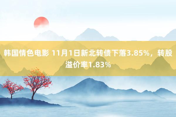 韩国情色电影 11月1日新北转债下落3.85%,转股溢价率1.83%