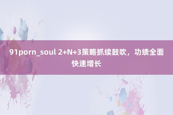 91porn_soul 2+N+3策略抓续鼓吹,功绩全面快速增长