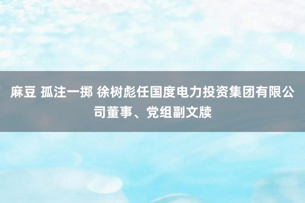 麻豆 孤注一掷 徐树彪任国度电力投资集团有限公司董事、党组副文牍