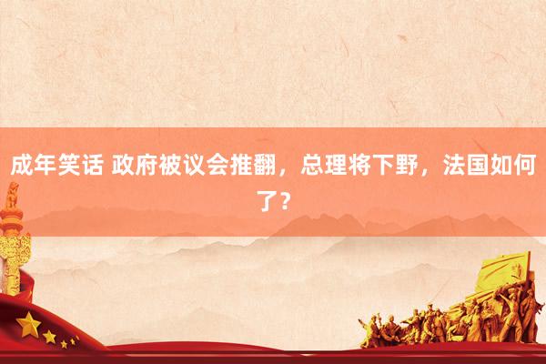 成年笑话 政府被议会推翻，总理将下野，法国如何了？