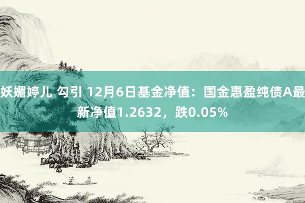 妖媚婷儿 勾引 12月6日基金净值：国金惠盈纯债A最新净值1.2632，跌0.05%