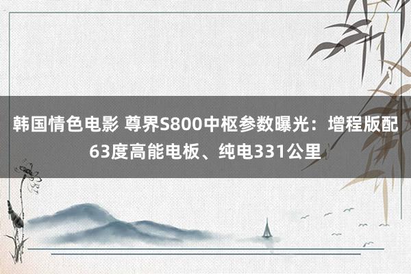 韩国情色电影 尊界S800中枢参数曝光：增程版配63度高能电板、纯电331公里
