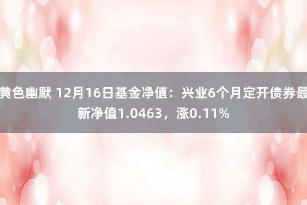 黄色幽默 12月16日基金净值：兴业6个月定开债券最新净值1.0463，涨0.11%