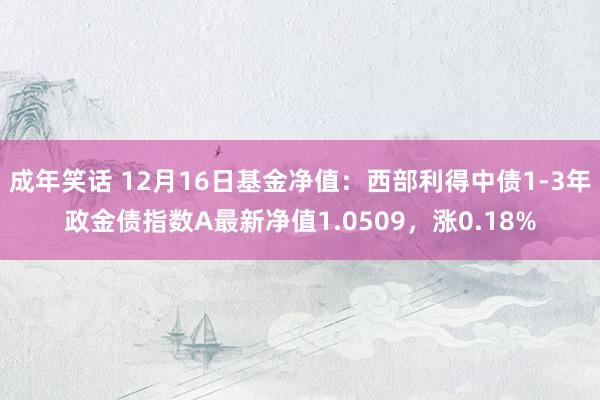 成年笑话 12月16日基金净值：西部利得中债1-3年政金债指数A最新净值1.0509，涨0.18%