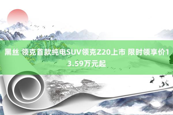 黑丝 领克首款纯电SUV领克Z20上市 限时领享价13.59万元起