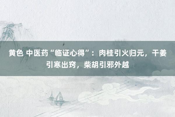 黄色 中医药“临证心得”：肉桂引火归元，干姜引寒出窍，柴胡引邪外越