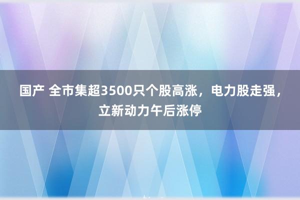 国产 全市集超3500只个股高涨，电力股走强，立新动力午后涨停