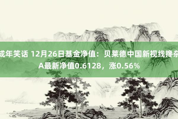 成年笑话 12月26日基金净值：贝莱德中国新视线搀杂A最新净值0.6128，涨0.56%