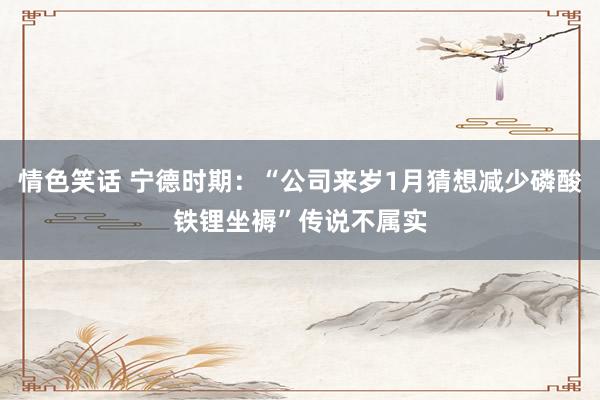 情色笑话 宁德时期：“公司来岁1月猜想减少磷酸铁锂坐褥”传说不属实