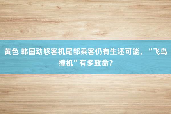 黄色 韩国动怒客机尾部乘客仍有生还可能，“飞鸟撞机”有多致命？