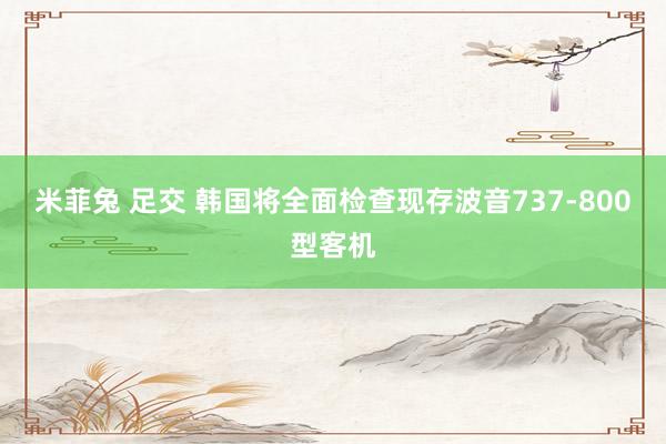 米菲兔 足交 韩国将全面检查现存波音737-800型客机