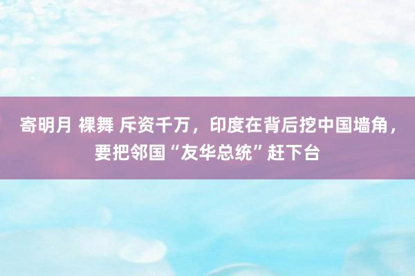 寄明月 裸舞 斥资千万，印度在背后挖中国墙角，要把邻国“友华总统”赶下台
