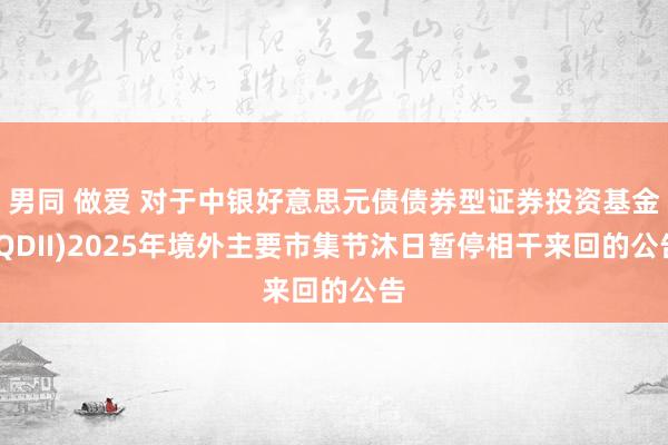 男同 做爱 对于中银好意思元债债券型证券投资基金(QDII)2025年境外主要市集节沐日暂停相干来回的公告