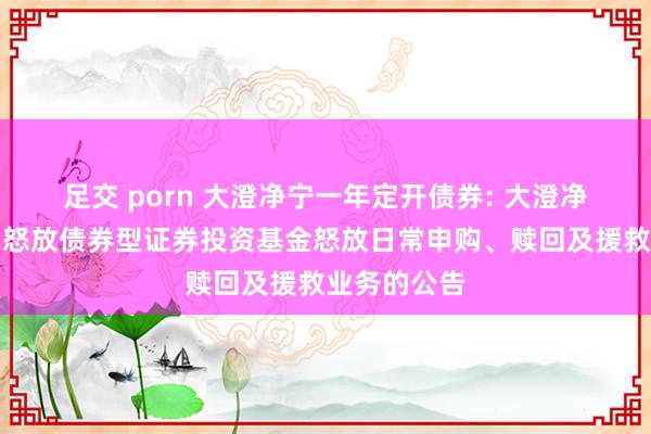 足交 porn 大澄净宁一年定开债券: 大澄净宁一年依期怒放债券型证券投资基金怒放日常申购、赎回及援救业务的公告