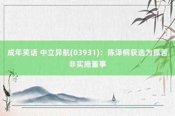 成年笑话 中立异航(03931)：陈泽桐获选为孤苦非实施董事