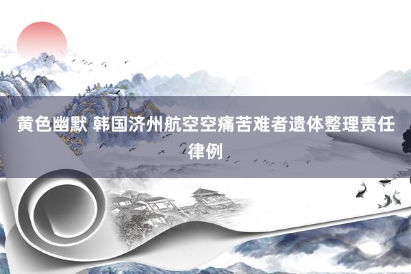 黄色幽默 韩国济州航空空痛苦难者遗体整理责任律例