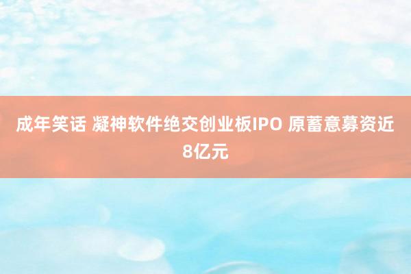 成年笑话 凝神软件绝交创业板IPO 原蓄意募资近8亿元