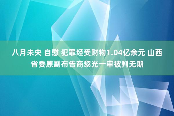 八月未央 自慰 犯罪经受财物1.04亿余元 山西省委原副布告商黎光一审被判无期