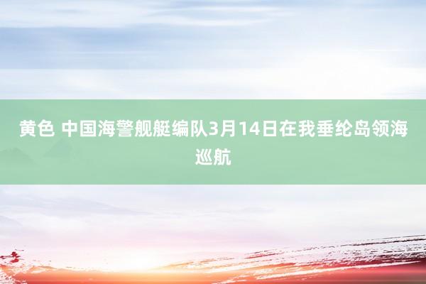 黄色 中国海警舰艇编队3月14日在我垂纶岛领海巡航
