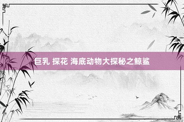 巨乳 探花 海底动物大探秘之鲸鲨