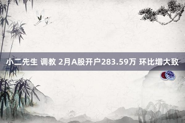 小二先生 调教 2月A股开户283.59万 环比增大致