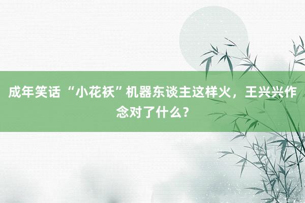成年笑话 “小花袄”机器东谈主这样火，王兴兴作念对了什么？