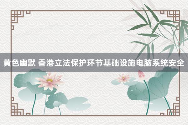 黄色幽默 香港立法保护环节基础设施电脑系统安全