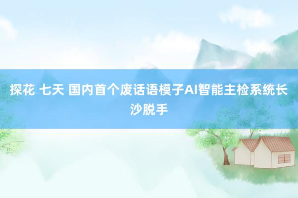 探花 七天 国内首个废话语模子AI智能主检系统长沙脱手