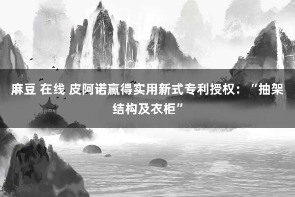 麻豆 在线 皮阿诺赢得实用新式专利授权：“抽架结构及衣柜”