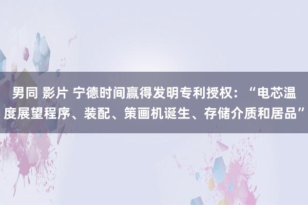 男同 影片 宁德时间赢得发明专利授权：“电芯温度展望程序、装配、策画机诞生、存储介质和居品”