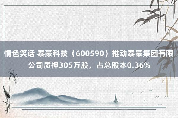 情色笑话 泰豪科技（600590）推动泰豪集团有限公司质押305万股，占总股本0.36%