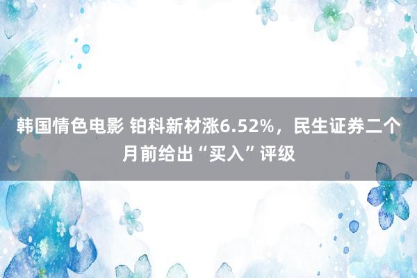 韩国情色电影 铂科新材涨6.52%，民生证券二个月前给出“买入”评级