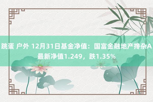 跳蛋 户外 12月31日基金净值：国富金融地产搀杂A最新净值1.249，跌1.35%