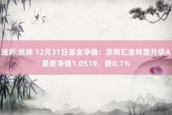 迷奸 丝袜 12月31日基金净值：浙商汇金转型升级A最新净值1.0519，跌0.1%