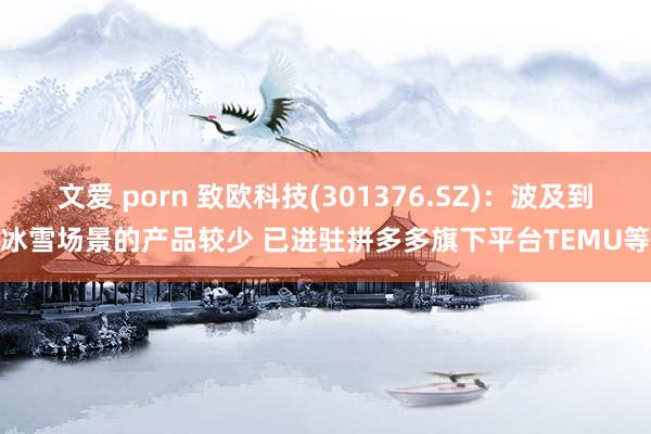文爱 porn 致欧科技(301376.SZ)：波及到冰雪场景的产品较少 已进驻拼多多旗下平台TEMU等