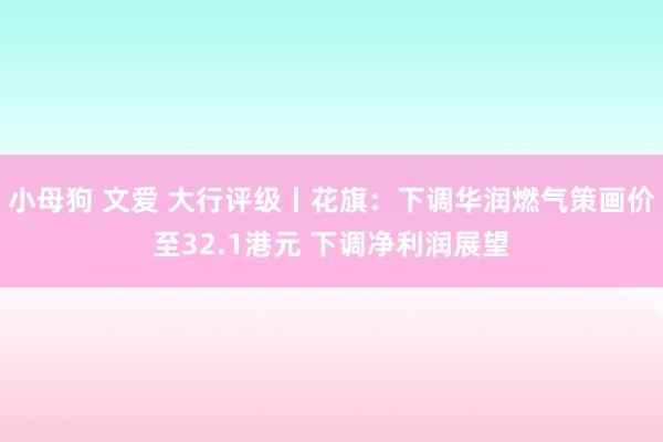 小母狗 文爱 大行评级丨花旗：下调华润燃气策画价至32.1港元 下调净利润展望