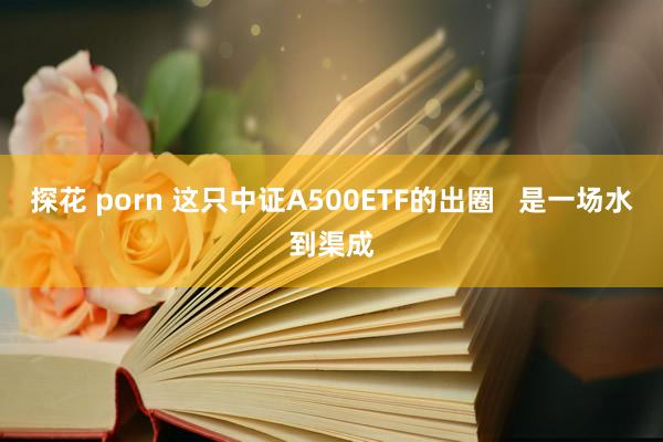 探花 porn 这只中证A500ETF的出圈   是一场水到渠成