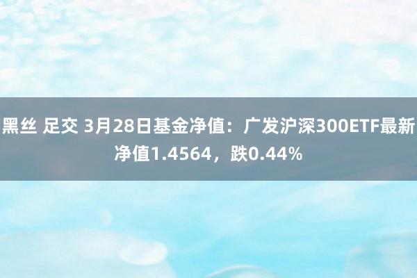 黑丝 足交 3月28日基金净值：广发沪深300ETF最新净值1.4564，跌0.44%