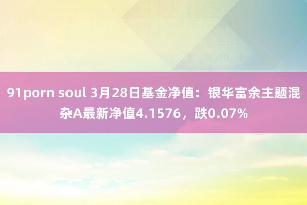 91porn soul 3月28日基金净值：银华富余主题混杂A最新净值4.1576，跌0.07%