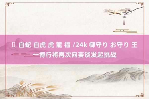✨白蛇 白虎 虎 龍 福 /24k 御守り お守り 王一博行将再次向赛谈发起挑战