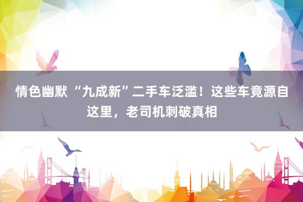 情色幽默 “九成新”二手车泛滥！这些车竟源自这里，老司机刺破真相