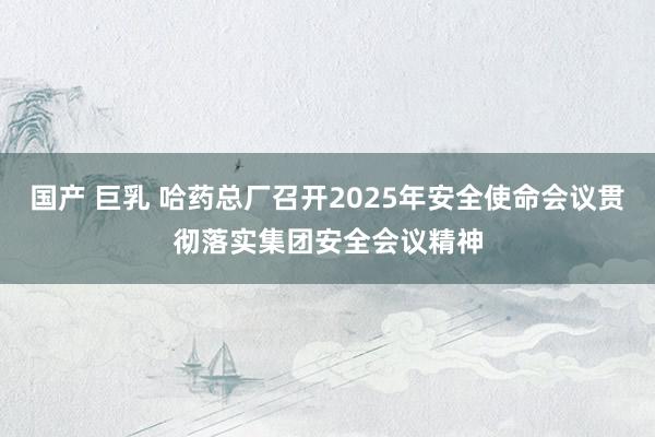 国产 巨乳 哈药总厂召开2025年安全使命会议贯彻落实集团安全会议精神