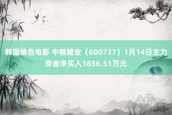 韩国情色电影 中粮糖业（600737）1月14日主力资金净买入1856.51万元