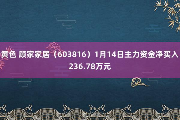 黄色 顾家家居（603816）1月14日主力资金净买入236.78万元