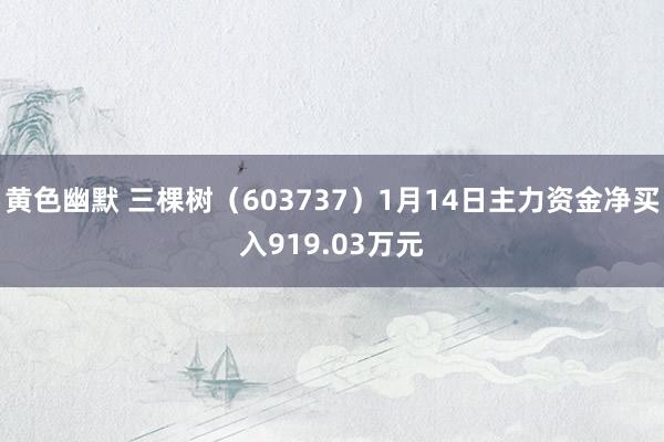 黄色幽默 三棵树（603737）1月14日主力资金净买入919.03万元