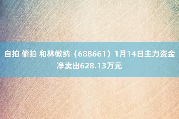 自拍 偷拍 和林微纳（688661）1月14日主力资金净卖出628.13万元