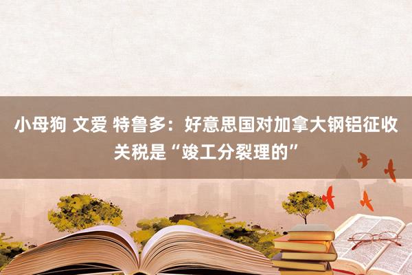 小母狗 文爱 特鲁多：好意思国对加拿大钢铝征收关税是“竣工分裂理的”
