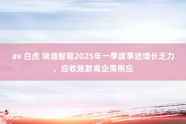 av 白虎 瑞迪智驱2025年一季度事迹增长乏力，应收账款高企需照应